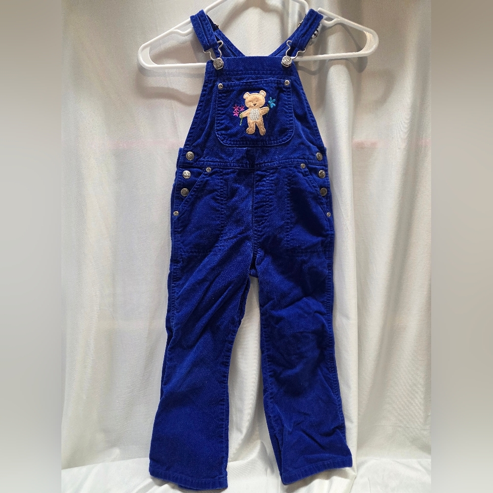 Arizona Jean Company Blue Kids Overalls